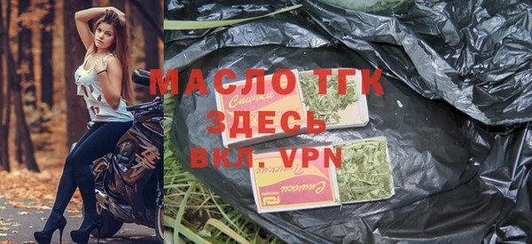 гидра Горняк