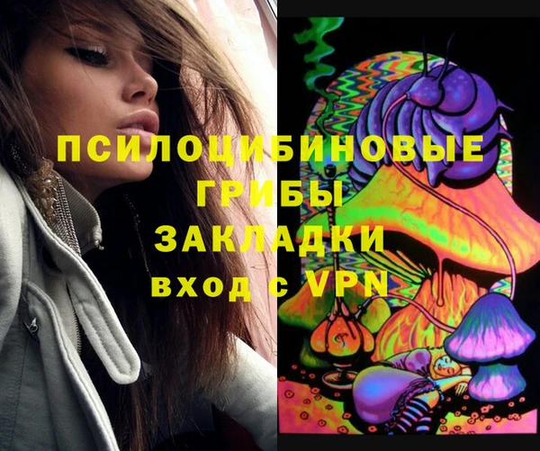 PSILOCYBIN Горно-Алтайск