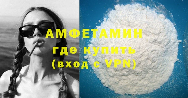 гидра Горняк