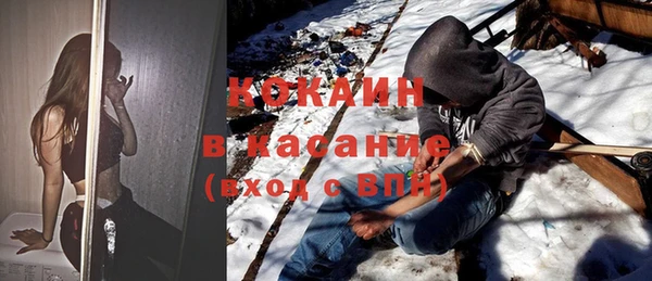 гидра Горняк