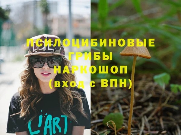 PSILOCYBIN Горно-Алтайск