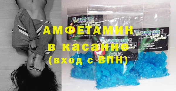 гидра Горняк