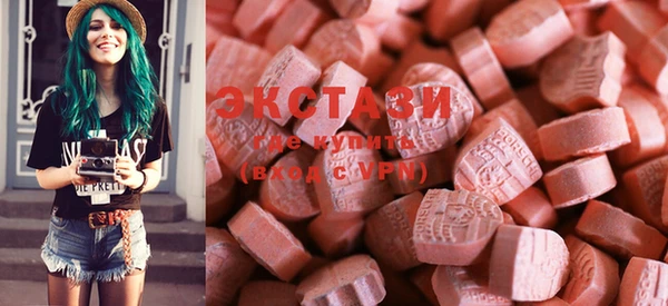 гидра Горняк