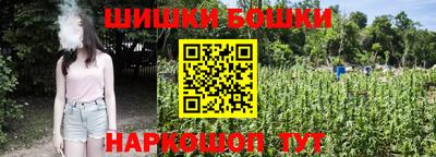 гашик Бузулук