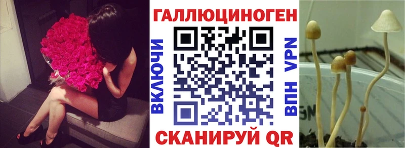 Псилоцибиновые грибы MAGIC MUSHROOMS  магазин  наркотиков  Гагарин 