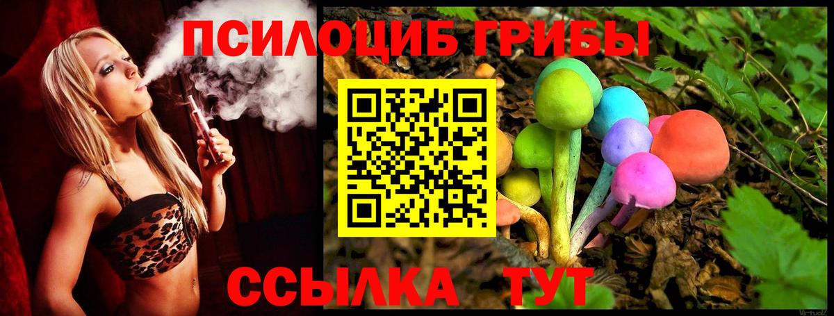 Галлюциногенные грибы Psilocybine cubensis  Вход с VPN  закладка  Гагарин 