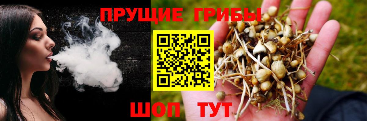 Псилоцибиновые грибы прущие грибы Гагарин