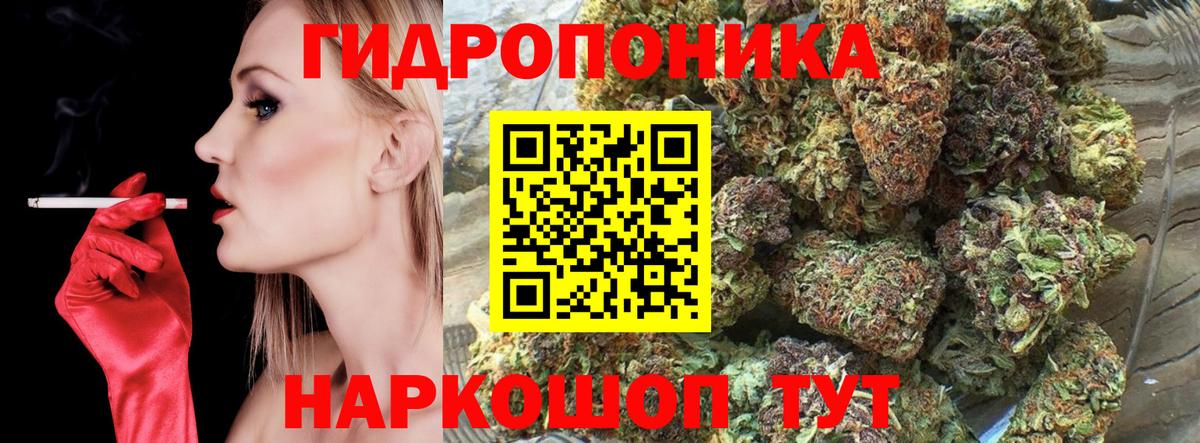 Конопля White Widow  Марихуана VHQ  Конопля VHQ  Гагарин  Каннабис Ganja 